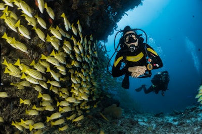 Crystal clear waters and coral reefs at Cham Islands near Da Nang